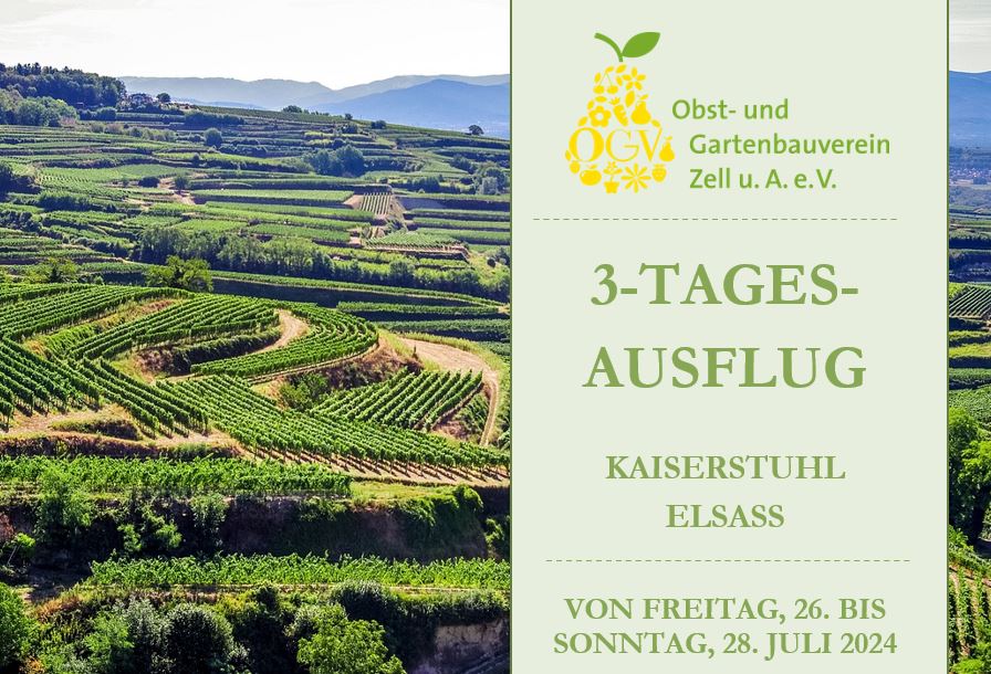 Bild vom Kaiserstuhl mit dem Text 3-TAGES-AUSFLUG KAISERSTUHL ELSASS VON FREITAG, 26. BIS SONNTAG, 28. JULI 2024