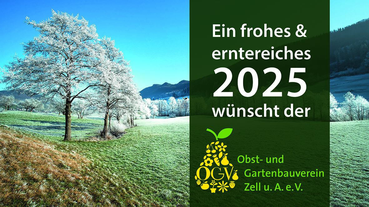 Ein frohes und erntereiches 2025 wünscht der OGV Zell u.A.