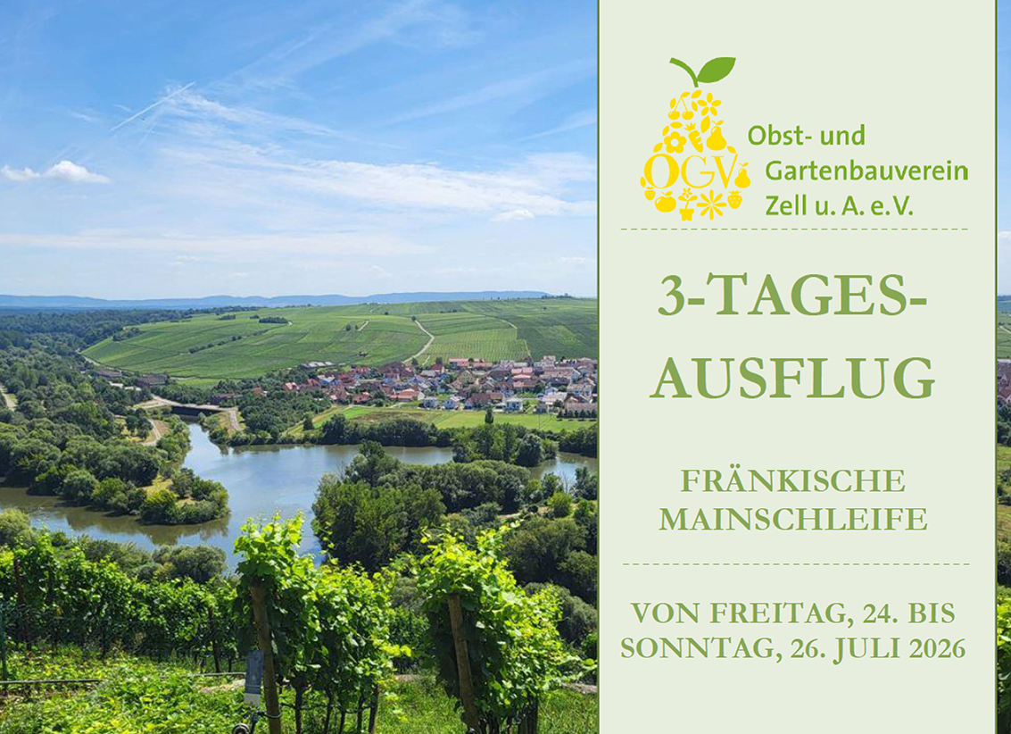 First Steps in the Trump Era