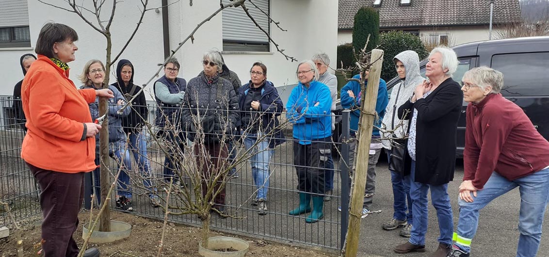 First Steps in the Trump Era